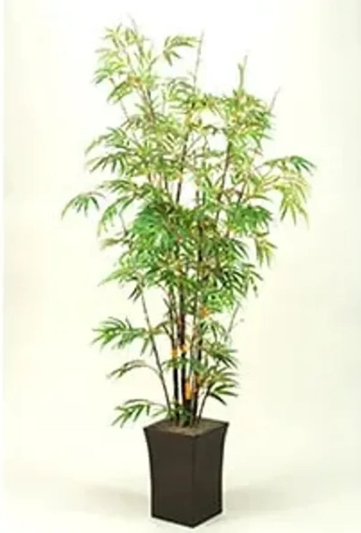 Bamboo Tree 7'H