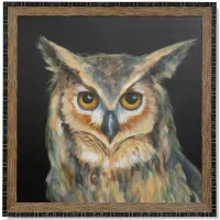 Owl Portrait Framed Art 40"W x 40"H