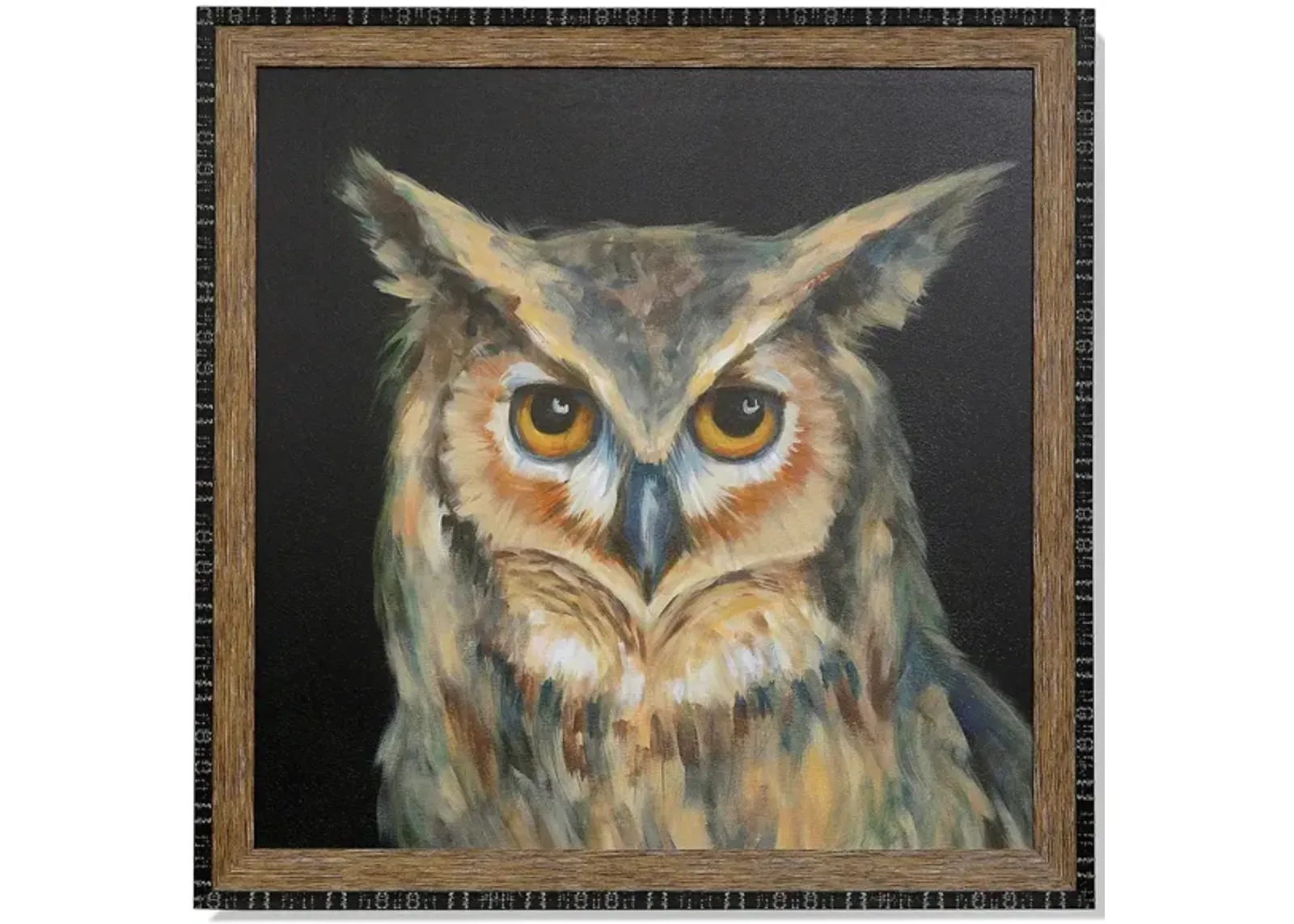 Owl Portrait Framed Art 40"W x 40"H