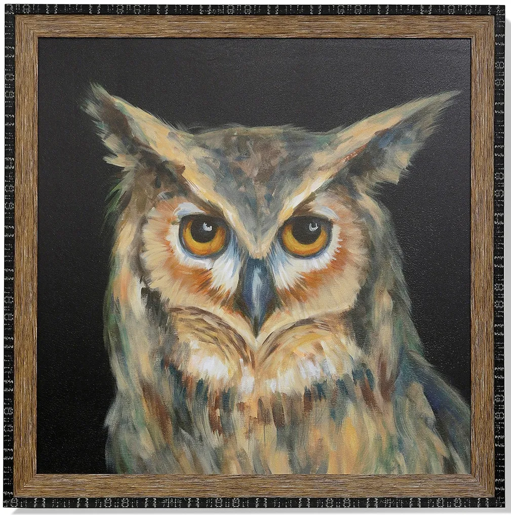 Owl Portrait Framed Art 40"W x 40"H