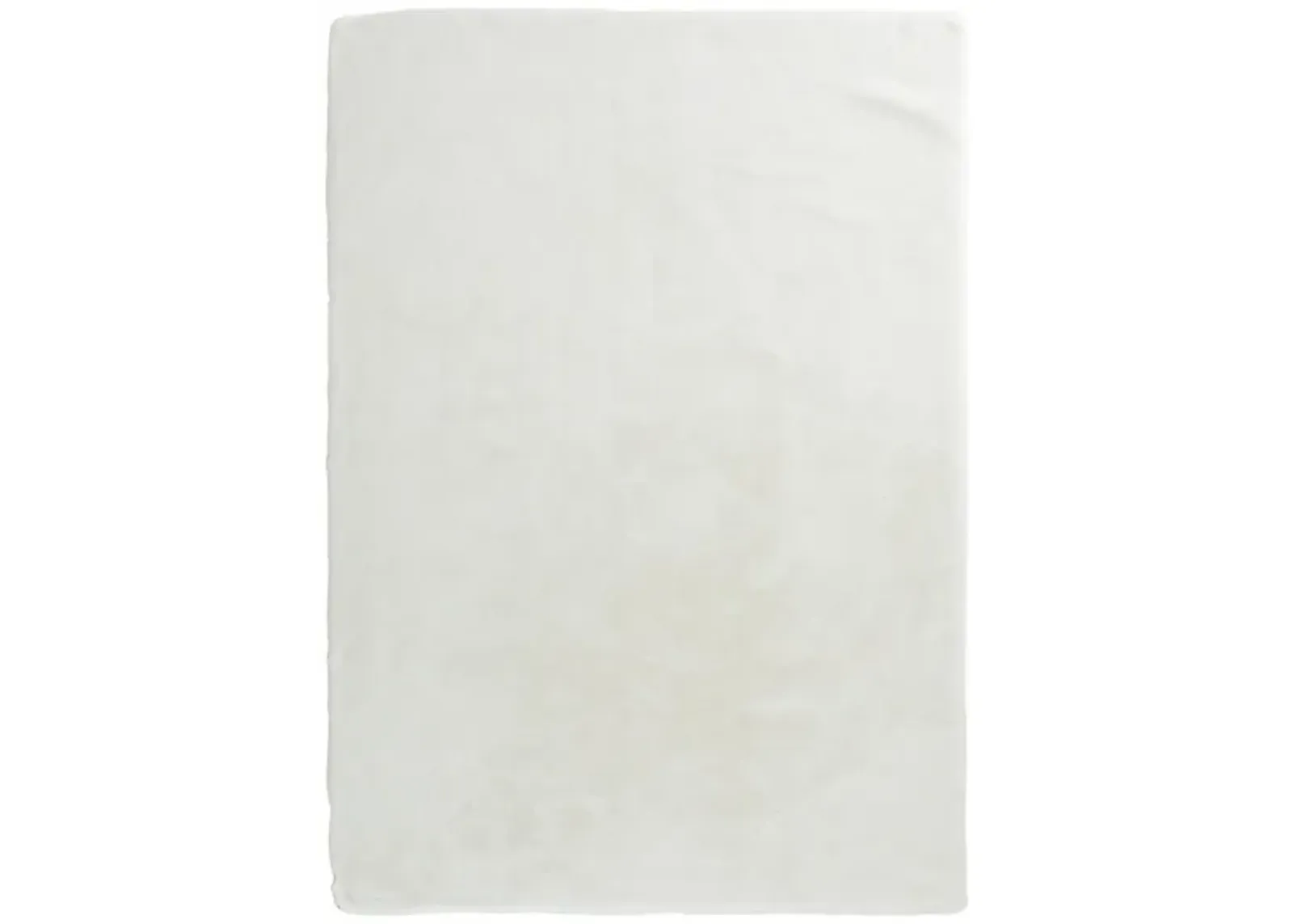 Brinley Ivory Area Rug 5'W x 7'L