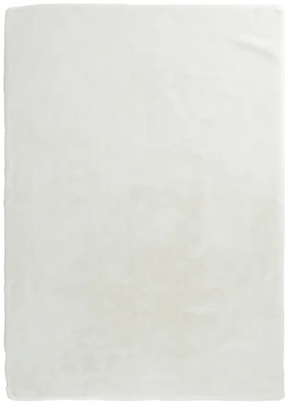 Brinley Ivory Area Rug 5'W x 7'L