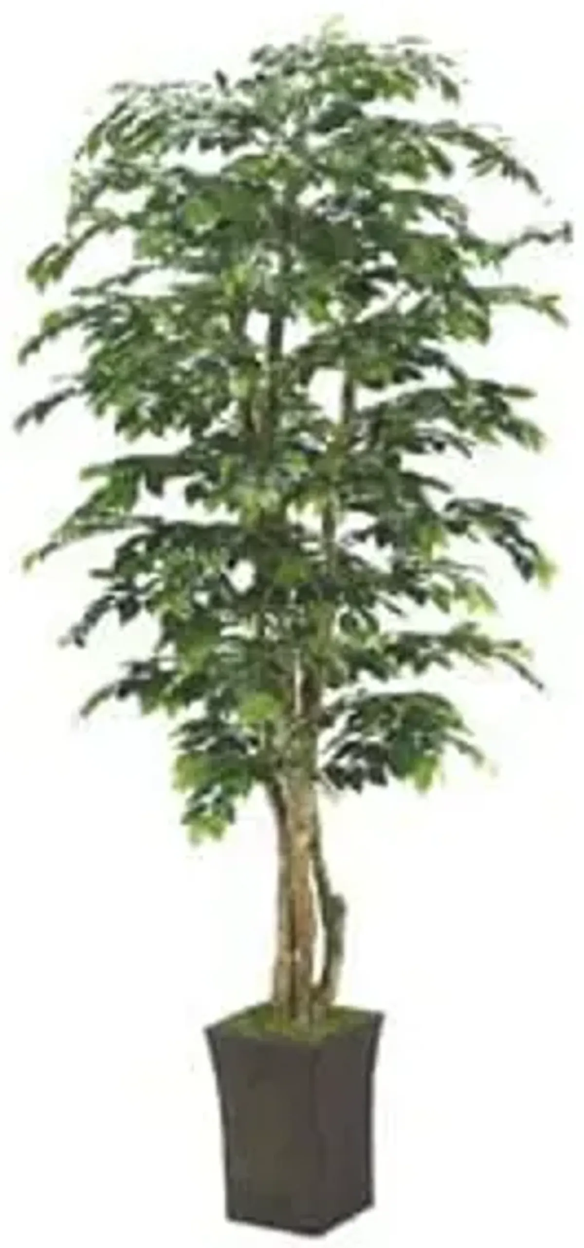 Sakaki Tree 8'H