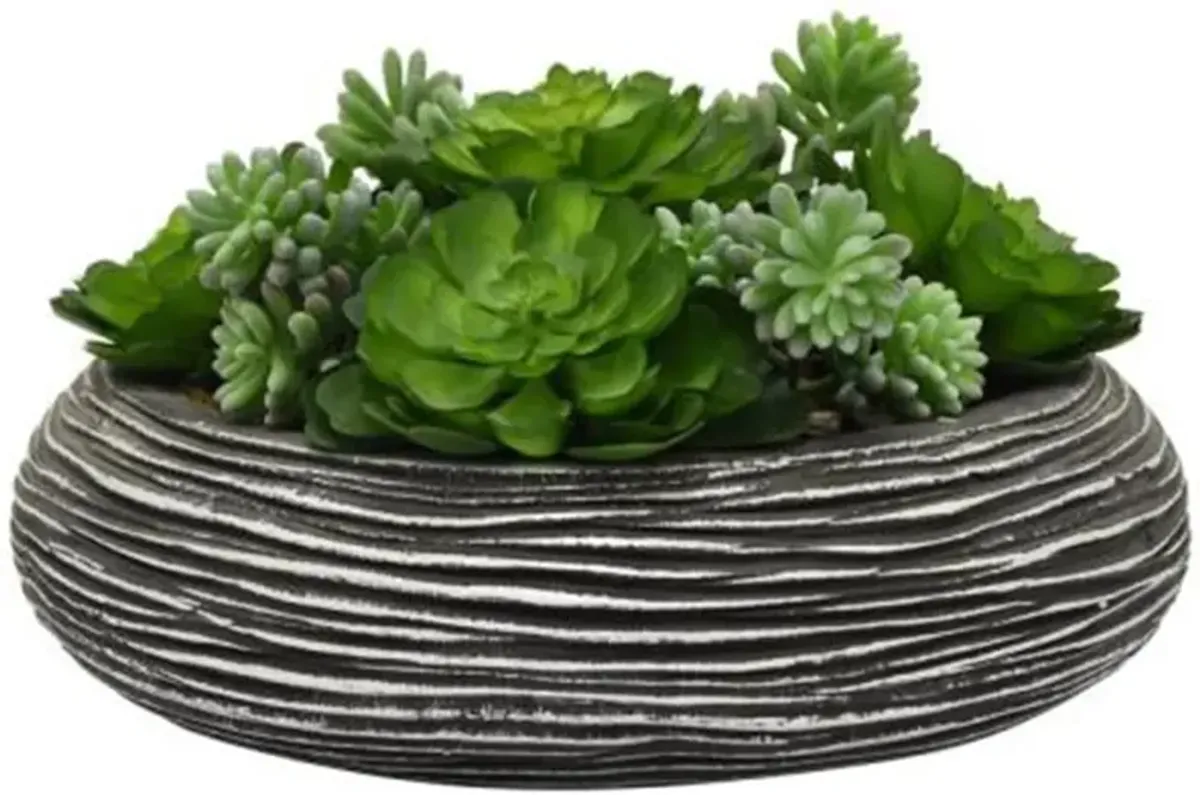 Faux Succulents In Black Textured Pot 14"W x 9"H