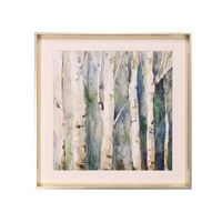 Birch Trees Framed Print I 26"W x 26"H