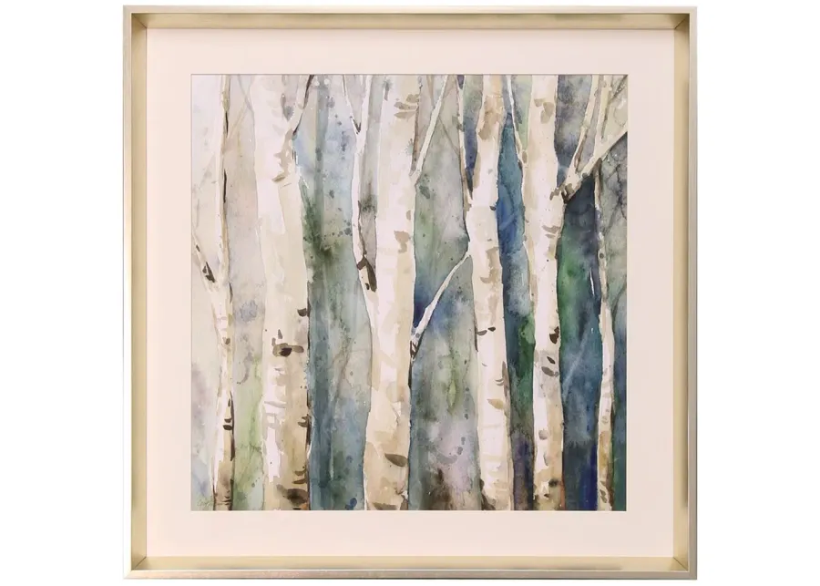 Birch Trees Framed Print I 26"W x 26"H