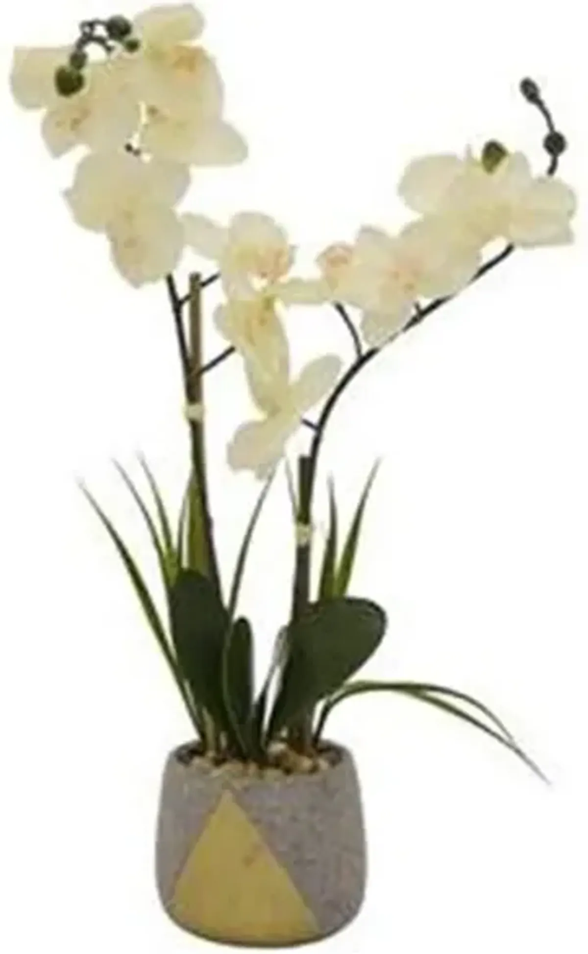 Faux White Orchid Plant In Grey Pot 6"W x 23.5"H