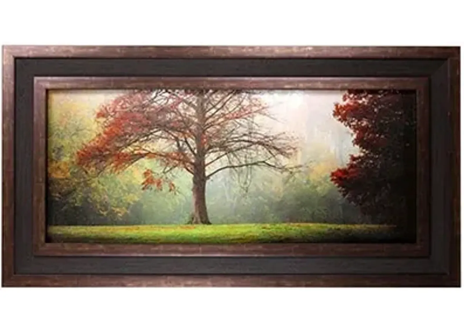 Fall Tree Framed Print 57"W x 29"H