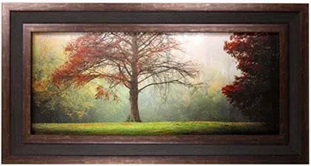 Fall Tree Framed Print 57"W x 29"H