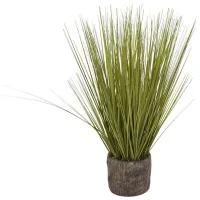 Tall Grass in Flower Pot 24"H
