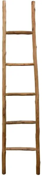 Natural Wood Ladder 17"W x 70"H