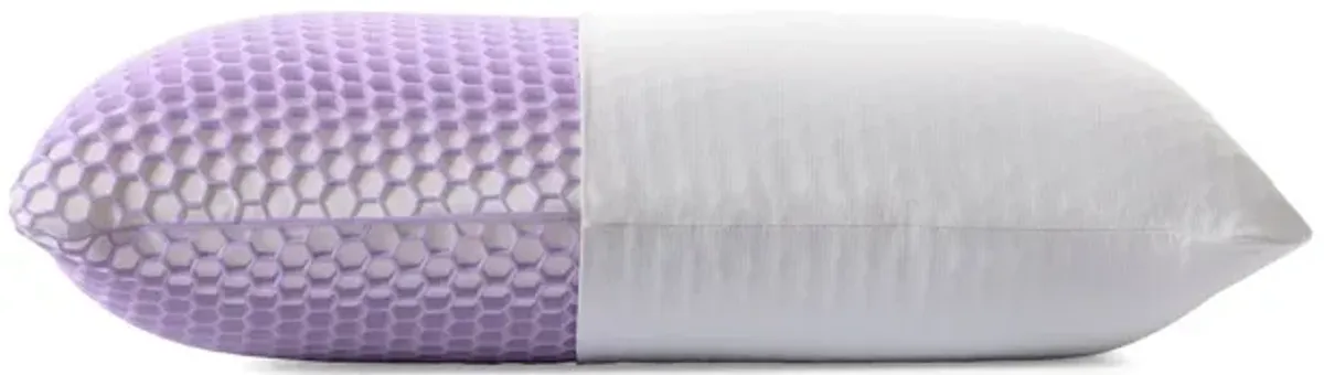 Purple Harmony 7.5" Standard Pillow