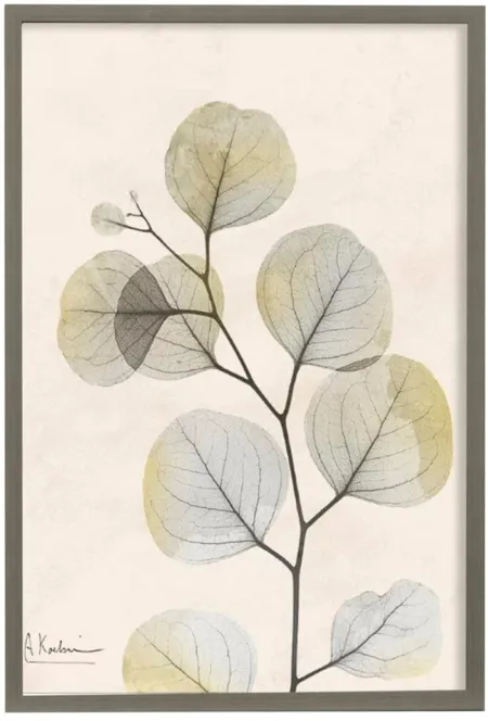 Eucalyptus I Framed Print Under Glass 26"W x 38"H