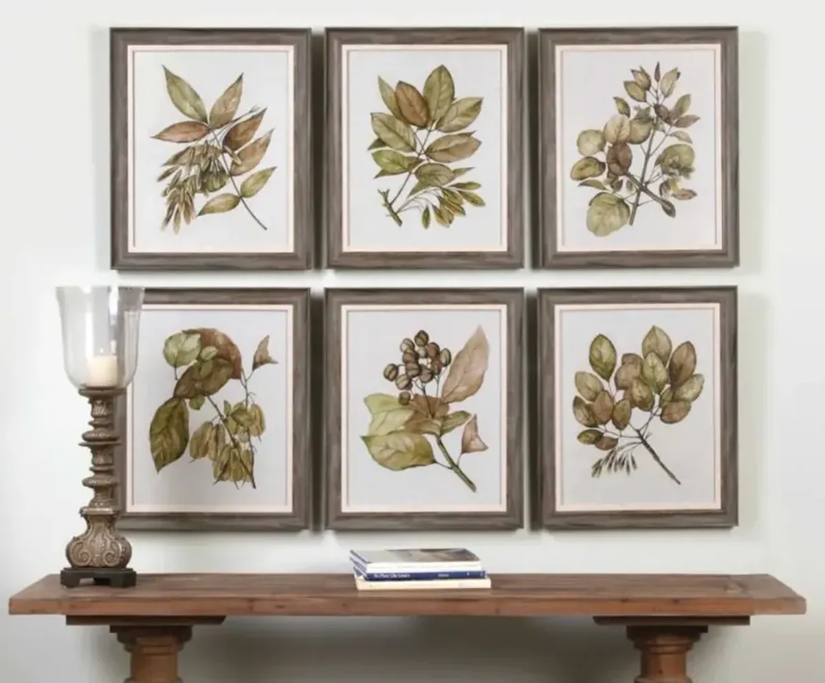 Set of 6 Botanical Framed Prints 20"W x 24"H