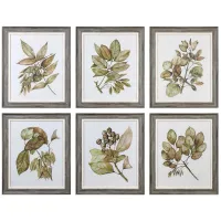 Set of 6 Botanical Framed Prints 20"W x 24"H