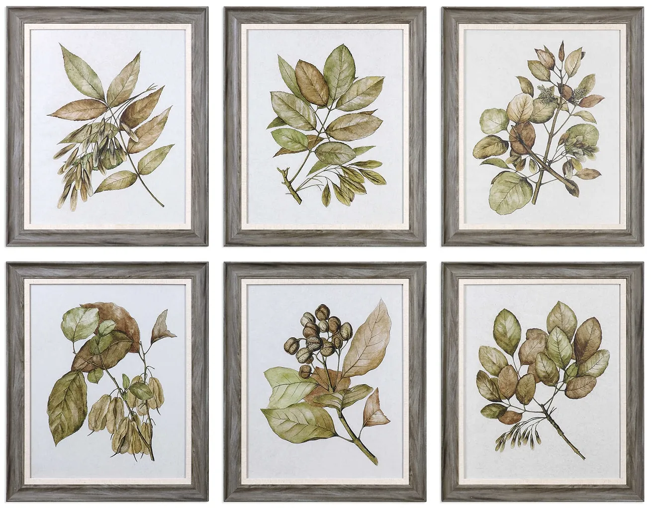 Set of 6 Botanical Framed Prints 20"W x 24"H