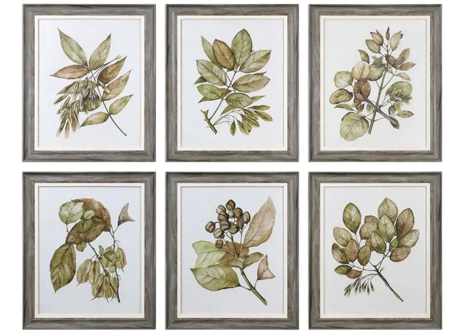 Set of 6 Botanical Framed Prints 20"W x 24"H