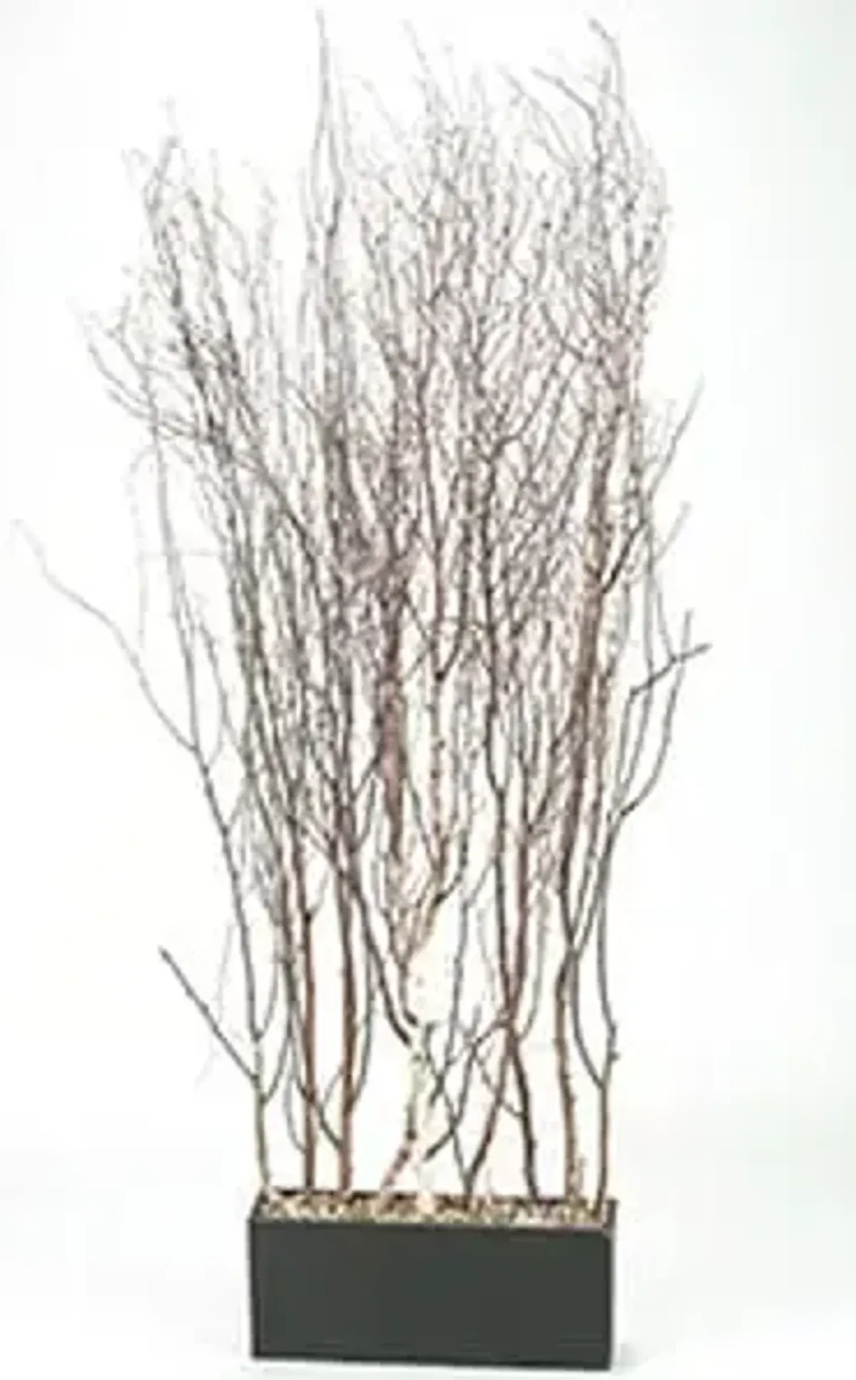 Birch Tree Branches Screen 42"W x 78"H