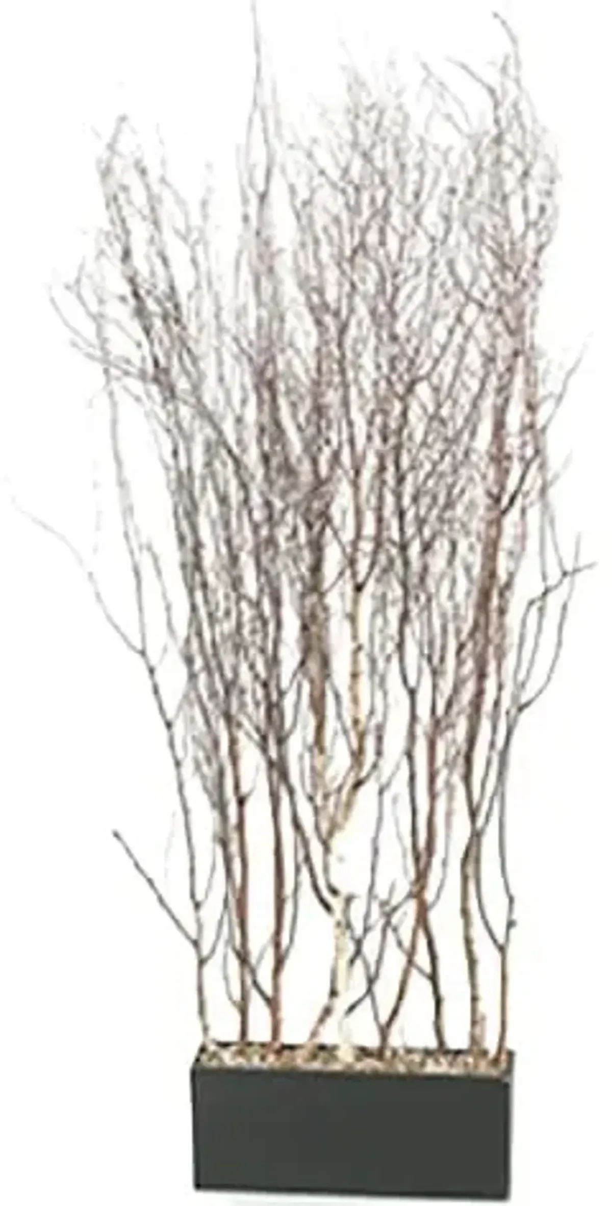 Birch Tree Branches Screen 42"W x 78"H