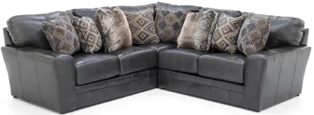 Camden 2-Pc. Leather Sectional in Steel