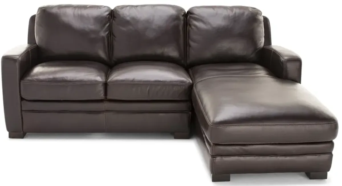 Carson 2-Pc. Leather Chaise Sofa