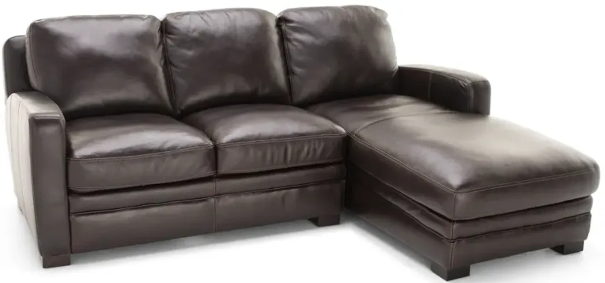 Carson 2-Pc. Leather Chaise Sofa