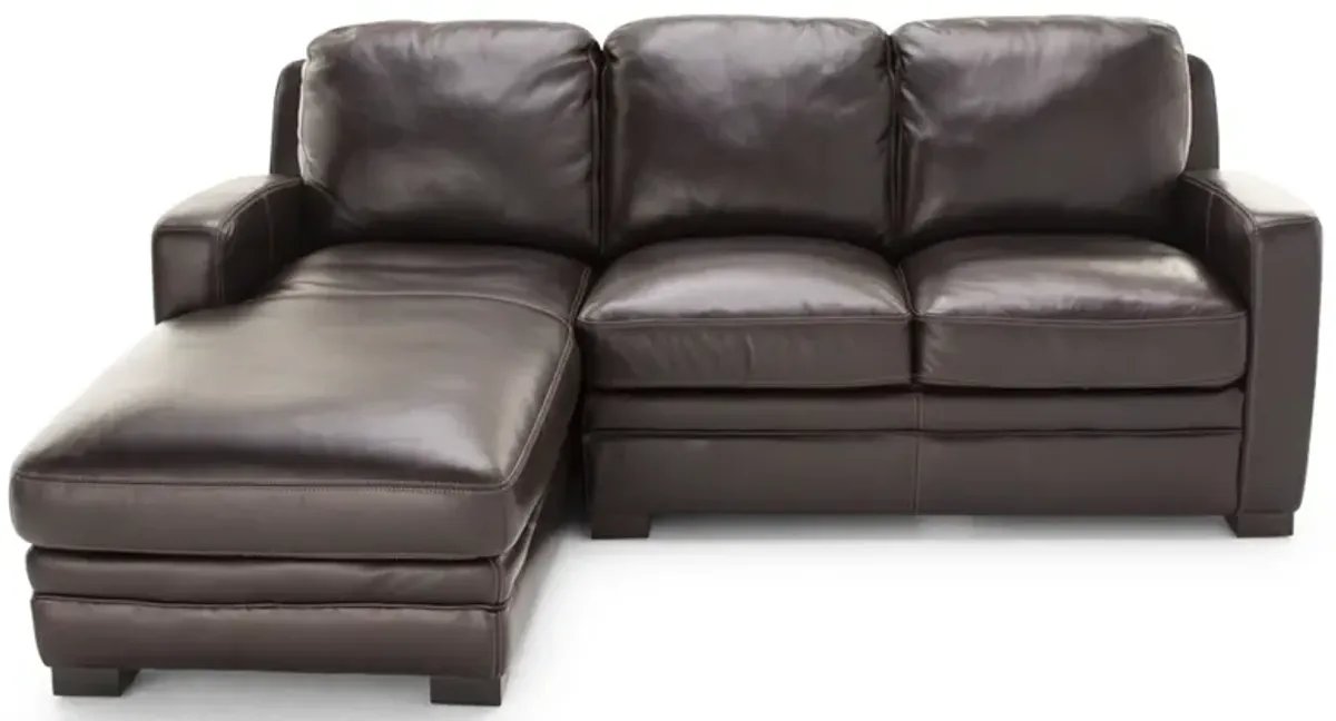 Carson 2-Pc. Leather Chaise Sofa