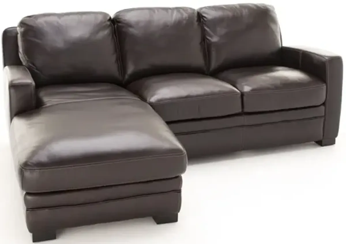 Carson 2-Pc. Leather Chaise Sofa