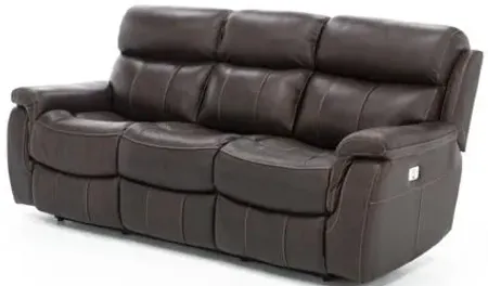 Shane Leather Power Headrest Reclining Sofa