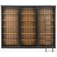 Toulouse Bookcase Wall with Ladder