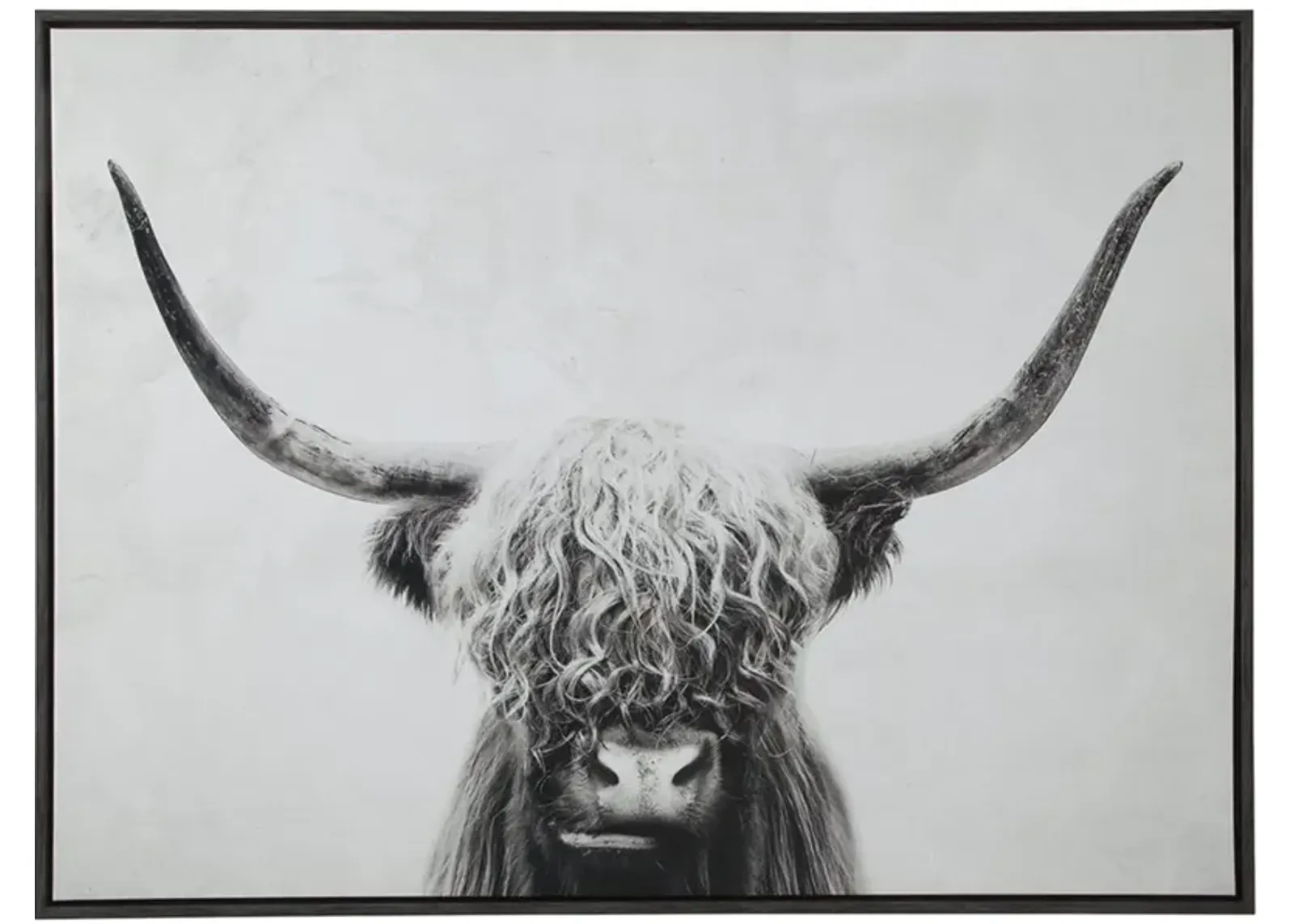 Black and White Highland Cow Framed Canvas Art 48"W x 36"H