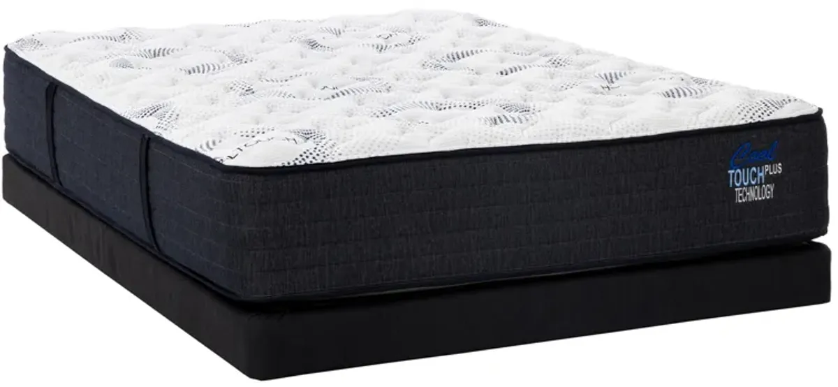 Dreams Harmony Firm Queen Mattress