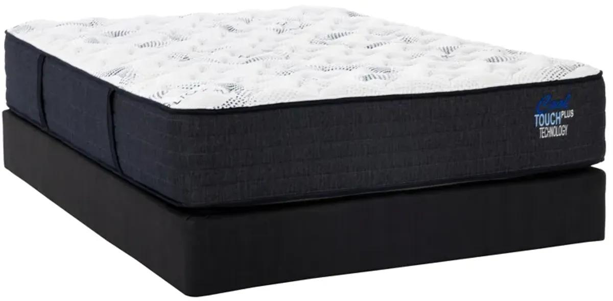 Dreams Harmony Firm Queen Mattress