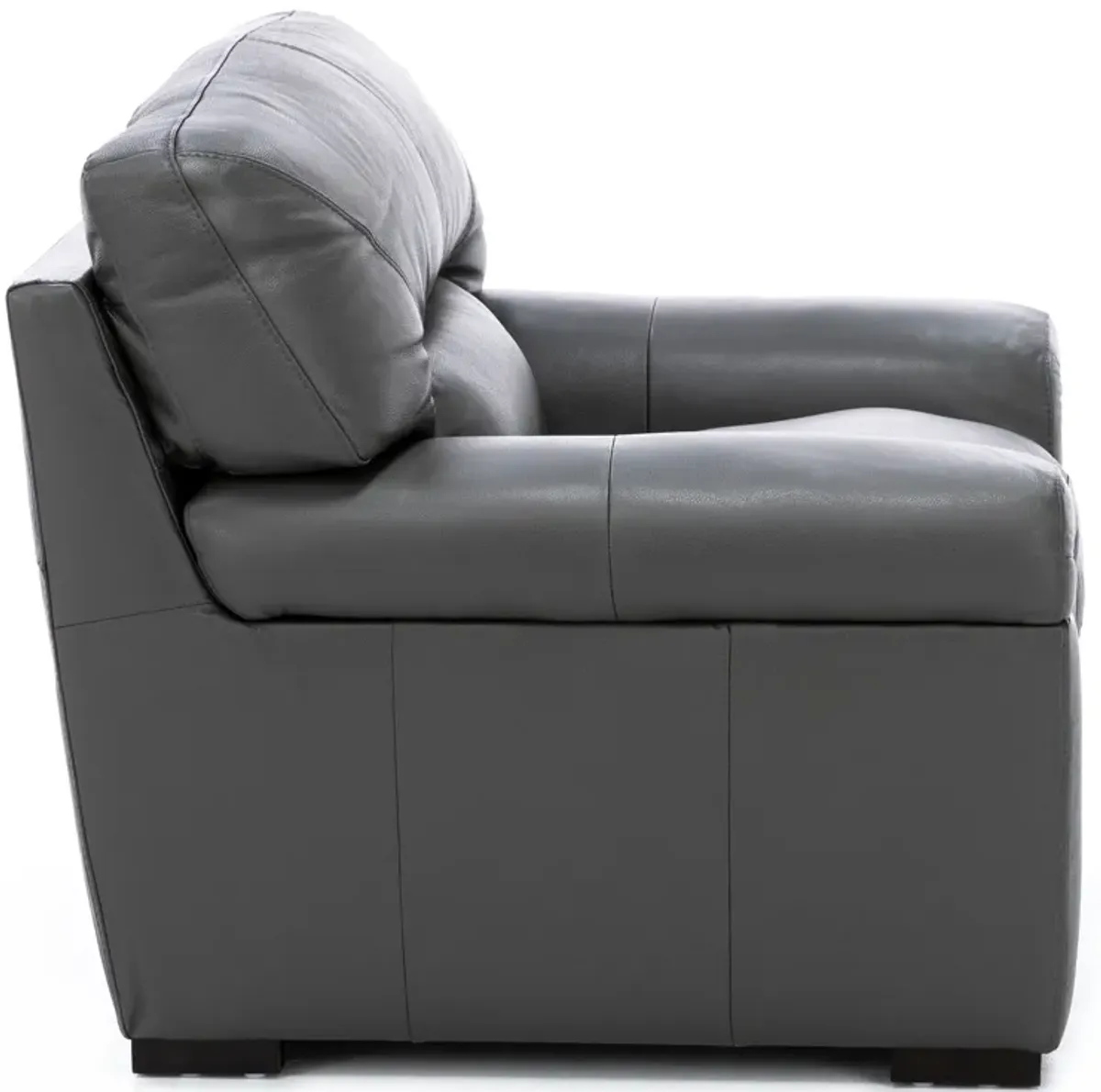 Levy Leather Chair