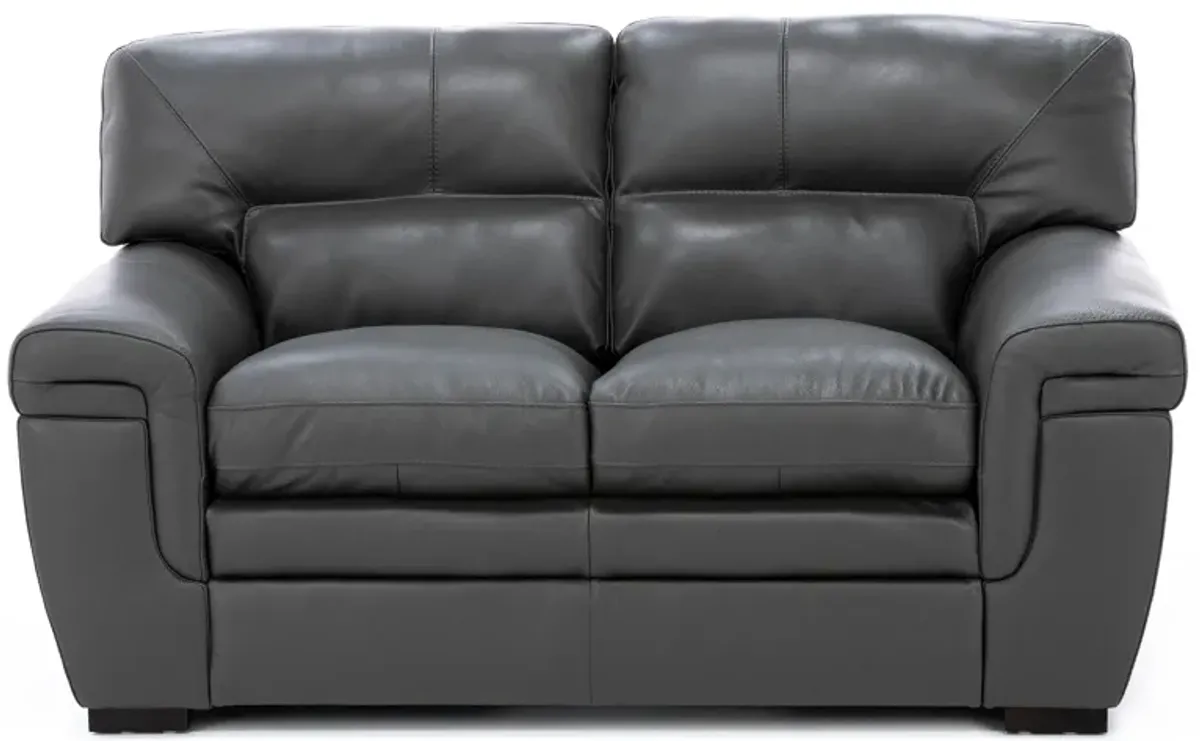 Levy Leather Loveseat