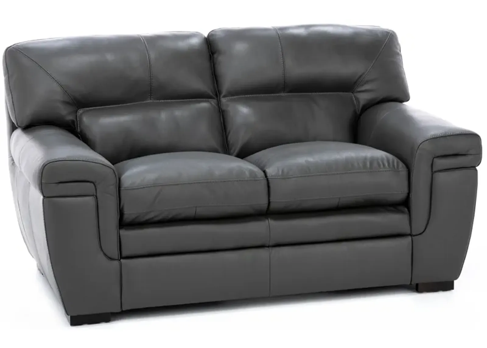 Levy Leather Loveseat