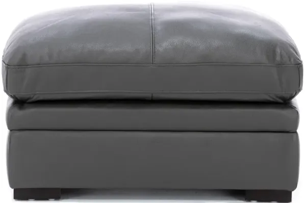 Levy Leather Ottoman