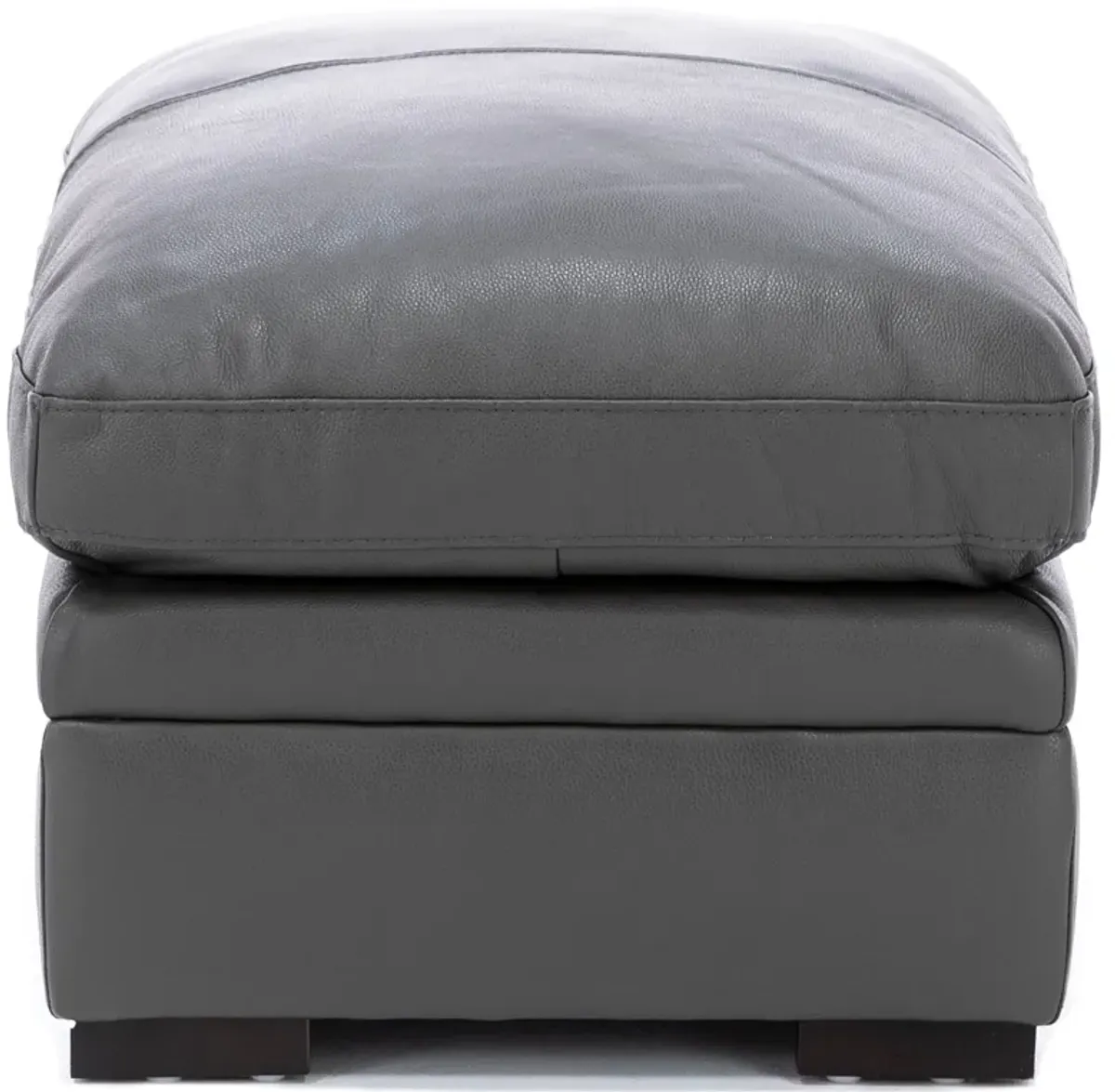 Levy Leather Ottoman