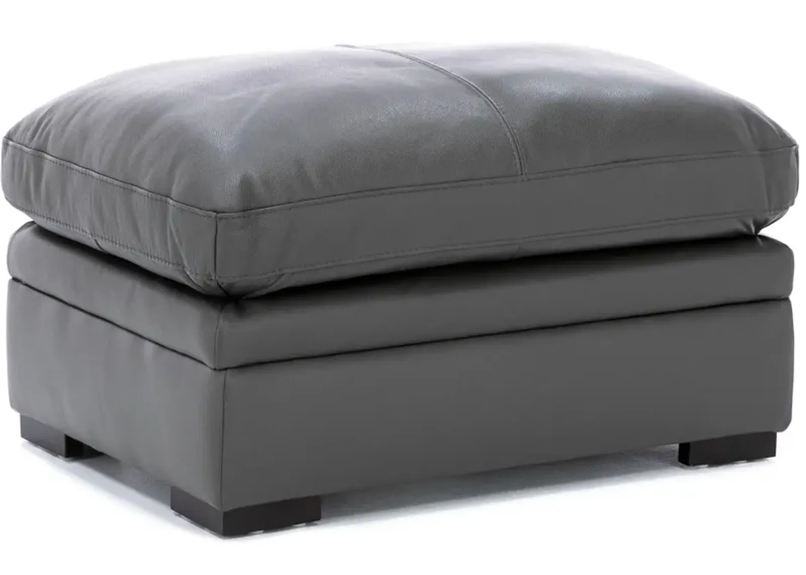 Levy Leather Ottoman