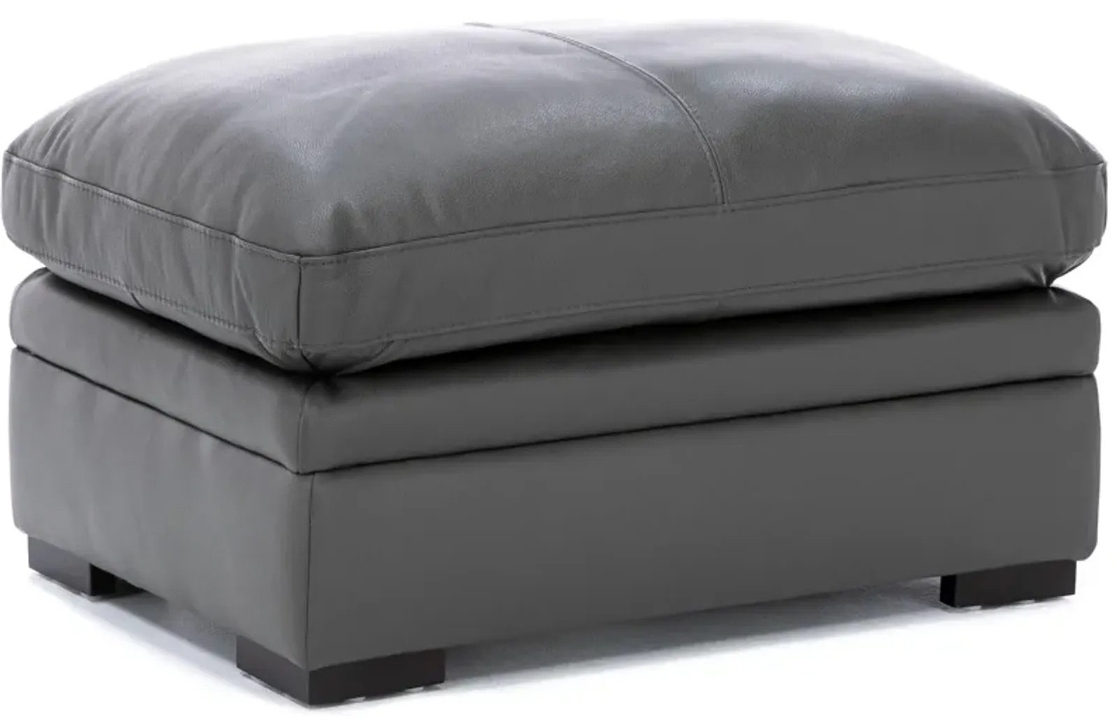 Levy Leather Ottoman