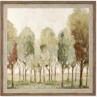 Green and Rust Trees Framed Print 41"W x 41"W