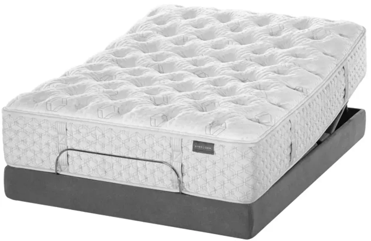 Aireloom Timeless Odyssey Luxury Firm Streamline Queen Mattress