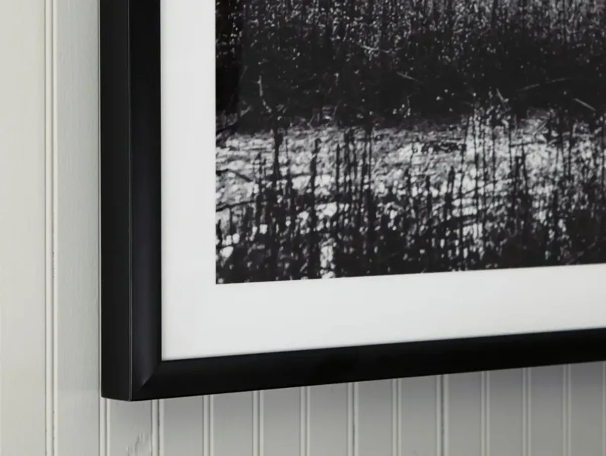 Black and White Field Sunrise Framed Print 86"W x 47"H