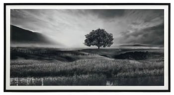 Black and White Field Sunrise Framed Print 86"W x 47"H