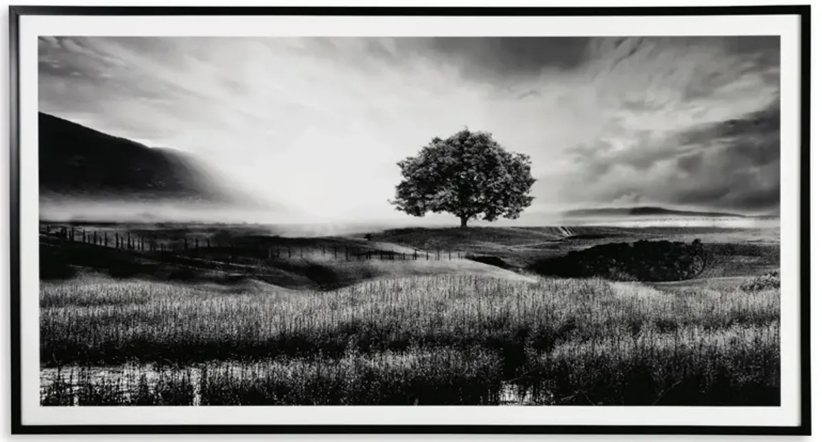 Black and White Field Sunrise Framed Print 86"W x 47"H