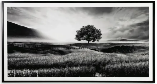 Black and White Field Sunrise Framed Print 86"W x 47"H