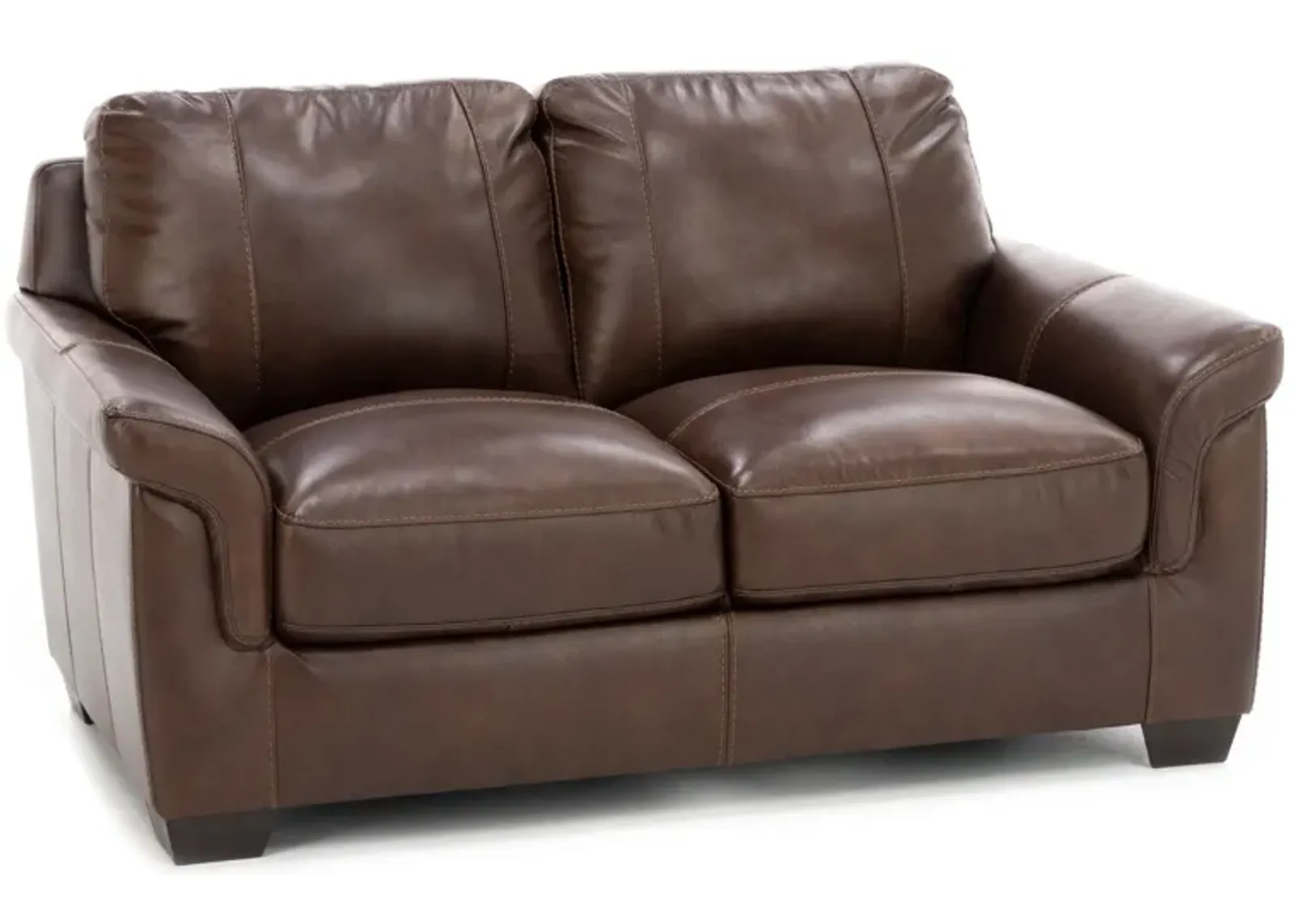 Theodore Leather Loveseat