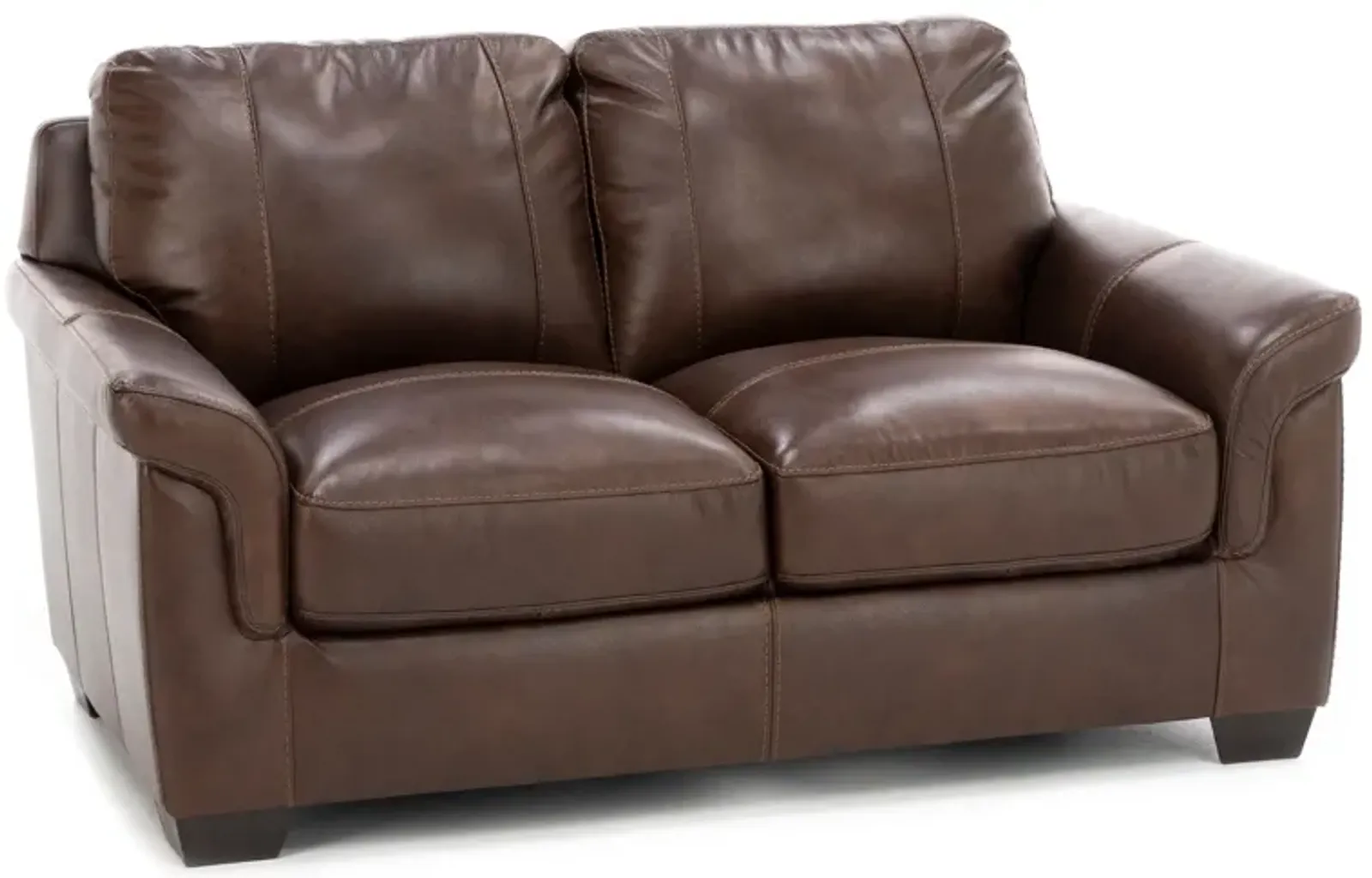 Theodore Leather Loveseat