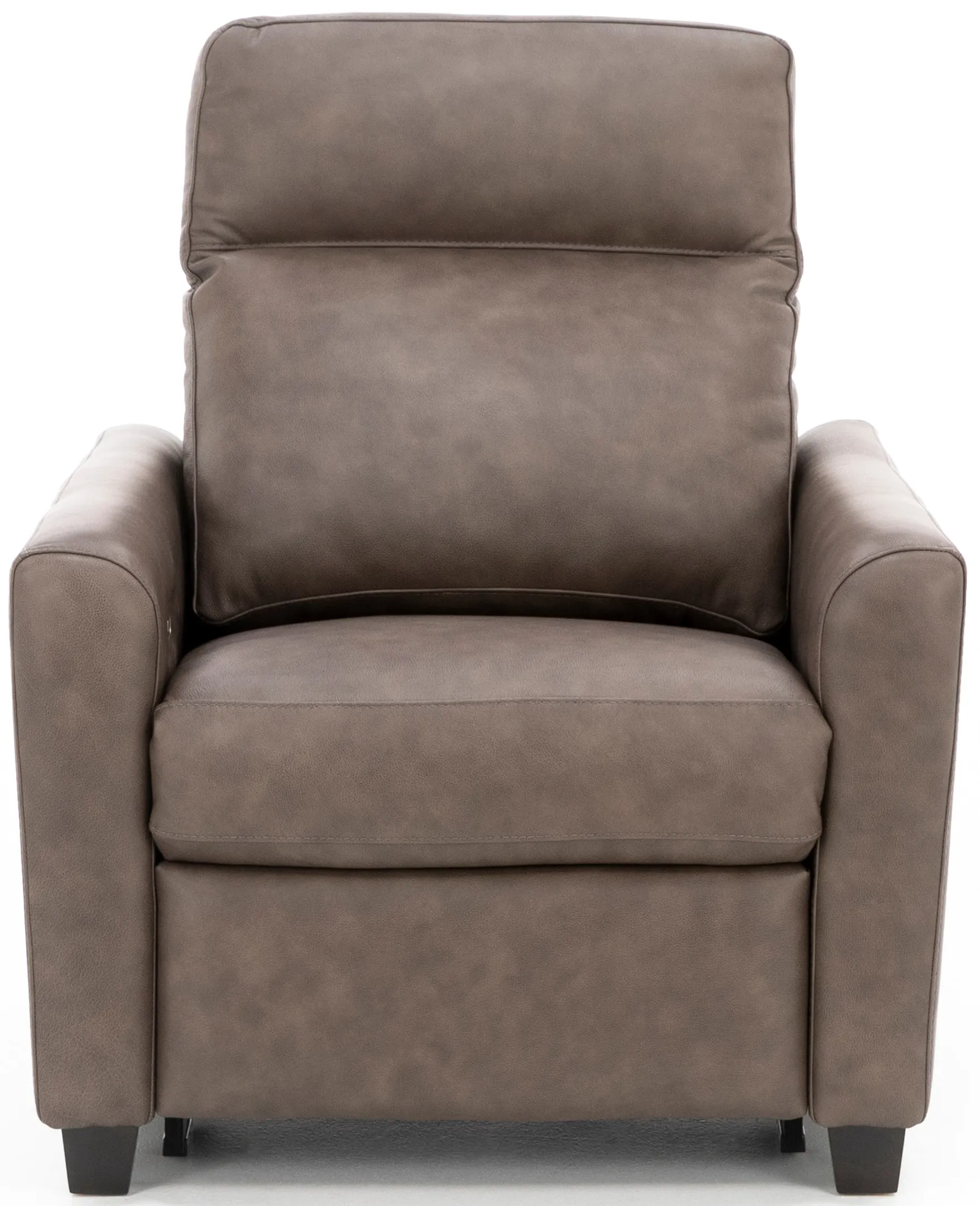 Pasadena Leather Dome Arm Power Headrest Recliner in Driftwood