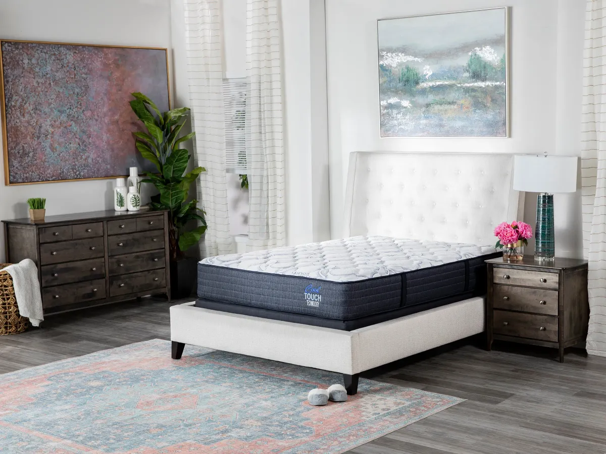 Dreams Affinity Firm 2.0 Twin Mattress